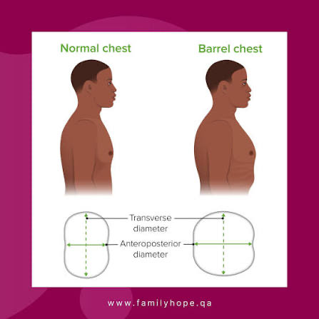 Paul tweet media