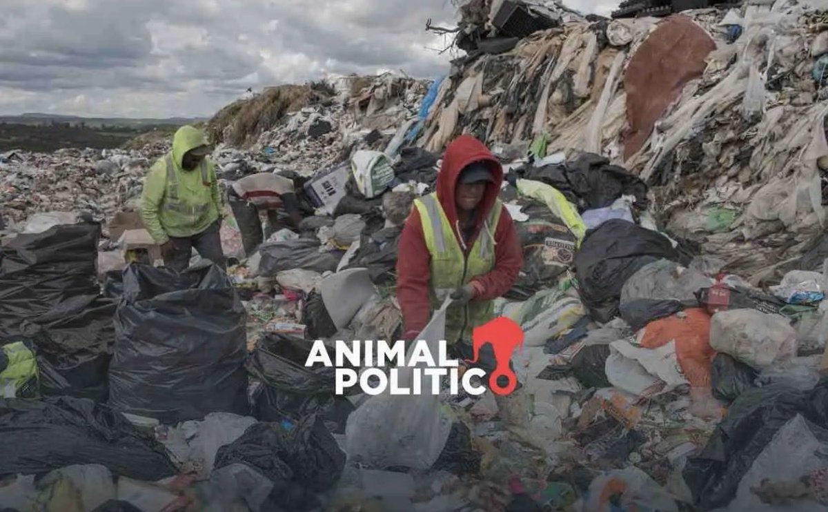 CEMDA's tweet photo. “El pasado 20 de enero, entró en vigor la Ley General de Economía Circular (LGEC), la cual reconoce la labor de las personas recicladoras. 

El Movimiento Nacional de Recicladores de Base señala que este significa un avance significativo en su búsqueda de derechos y beneficios tangibles.

La legislación reconoce por primera vez a las personas recuperadoras de base, conocidas como "pepenadoras" y las describe como aquellas que "de forma independiente o colectiva, realizan la recolección, separación manual, comercialización y reciclaje de materias primas secundarias”. 

Fuente: https://t.co/ujndJpjLQ5