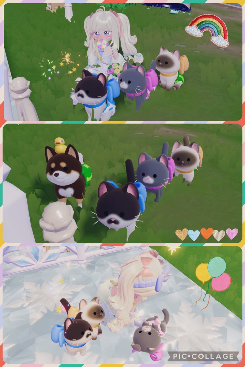 KOTO＊°. tweet media