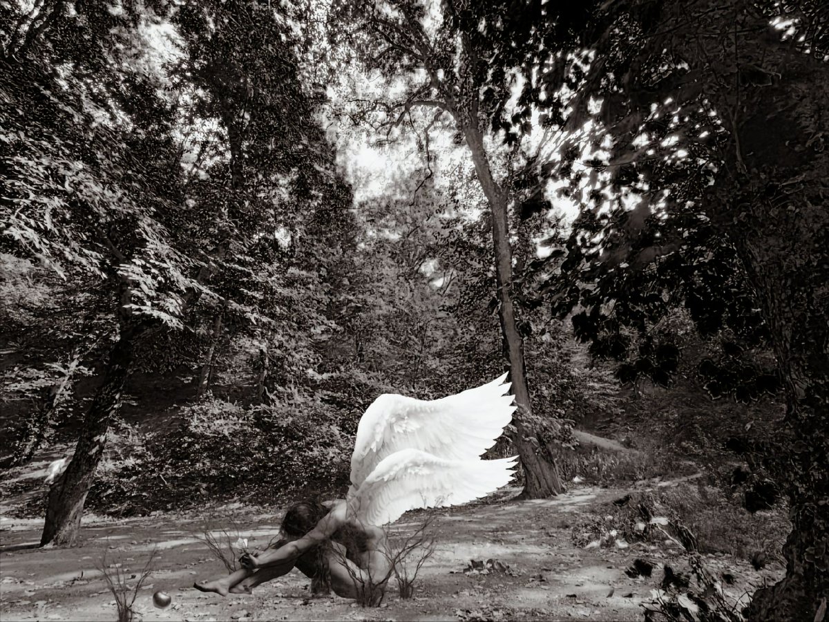 Seendollf tweet media