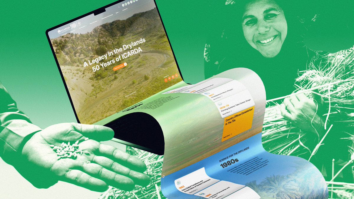🌟 For <a href="/ICARDA/">ICARDA</a>’s 50th anniversary, we created a digital experience that feels celebratory and contemporary without becoming an endless scroll, giving audiences a clear way to explore five decades of impact in the drylands.

Learn more 👉 bit.ly/3MIZwjf