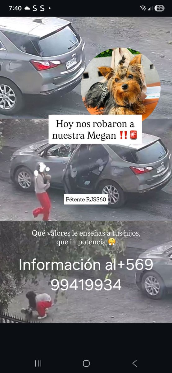 LORE TIN tweet media