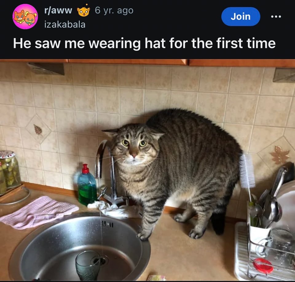 Images AI Could Never Recreate (@imagesaicouldnt) on Twitter photo 