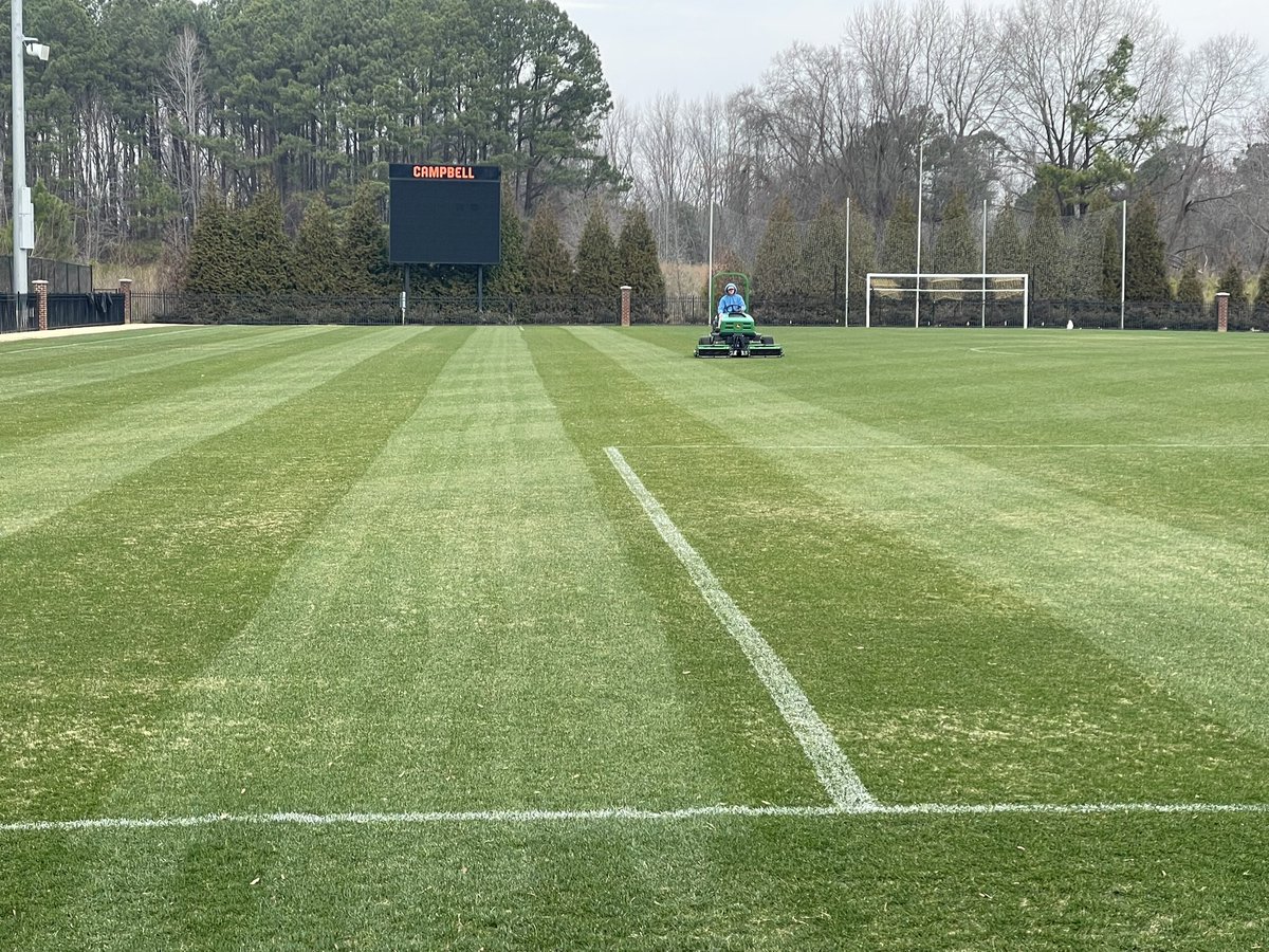 CU Sports Turf tweet media