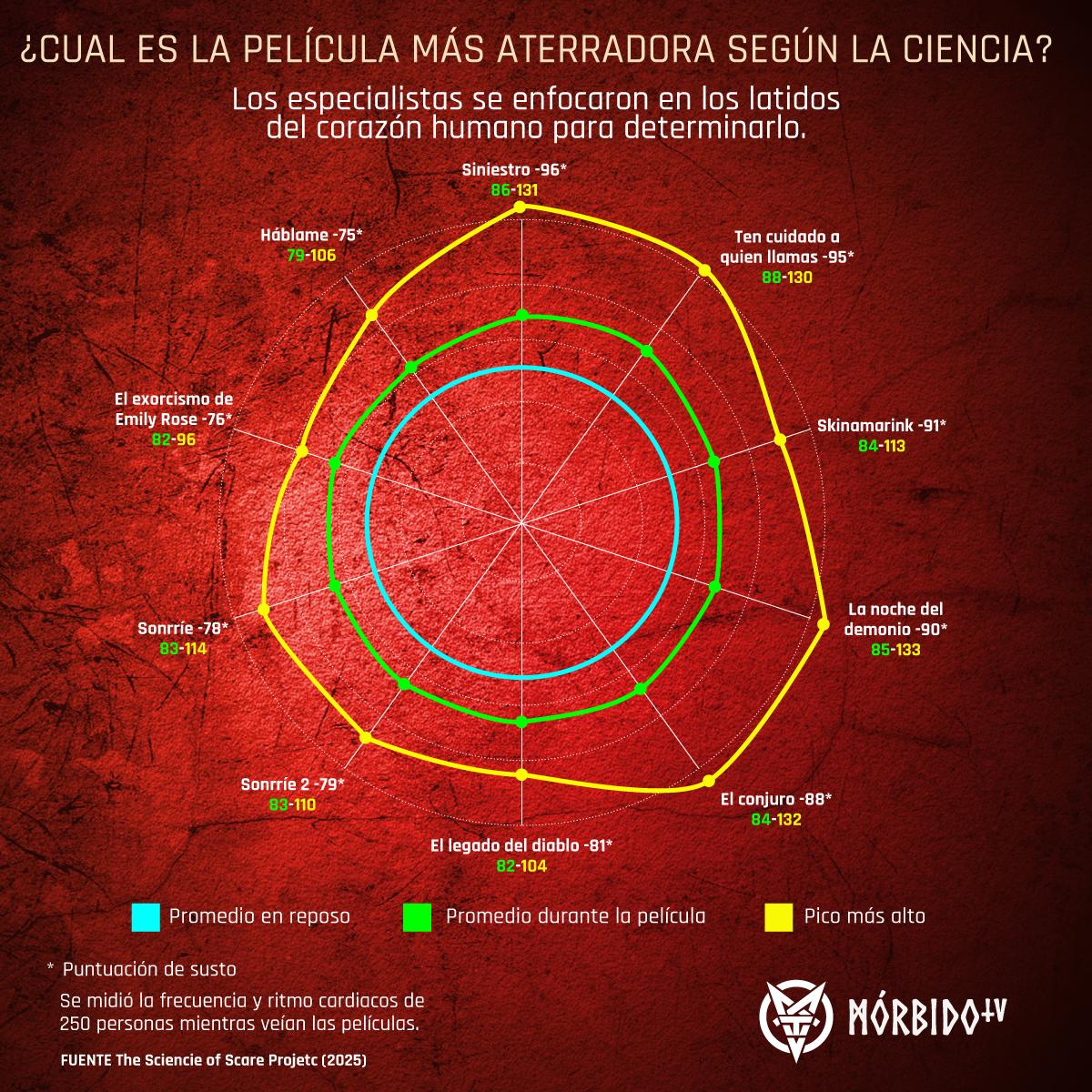 MORBIDO TV tweet media