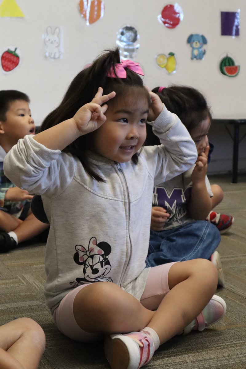 HMS Dolphins tweet media