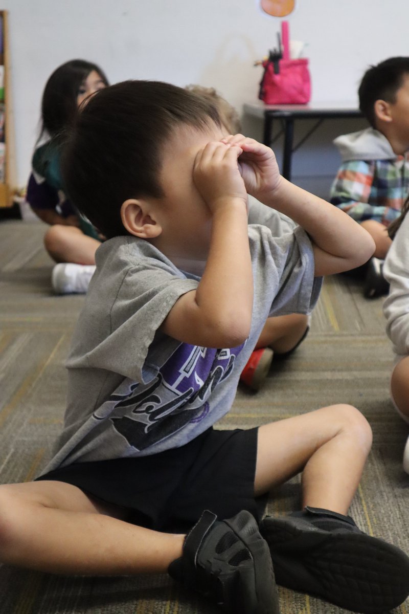 HMS Dolphins tweet media