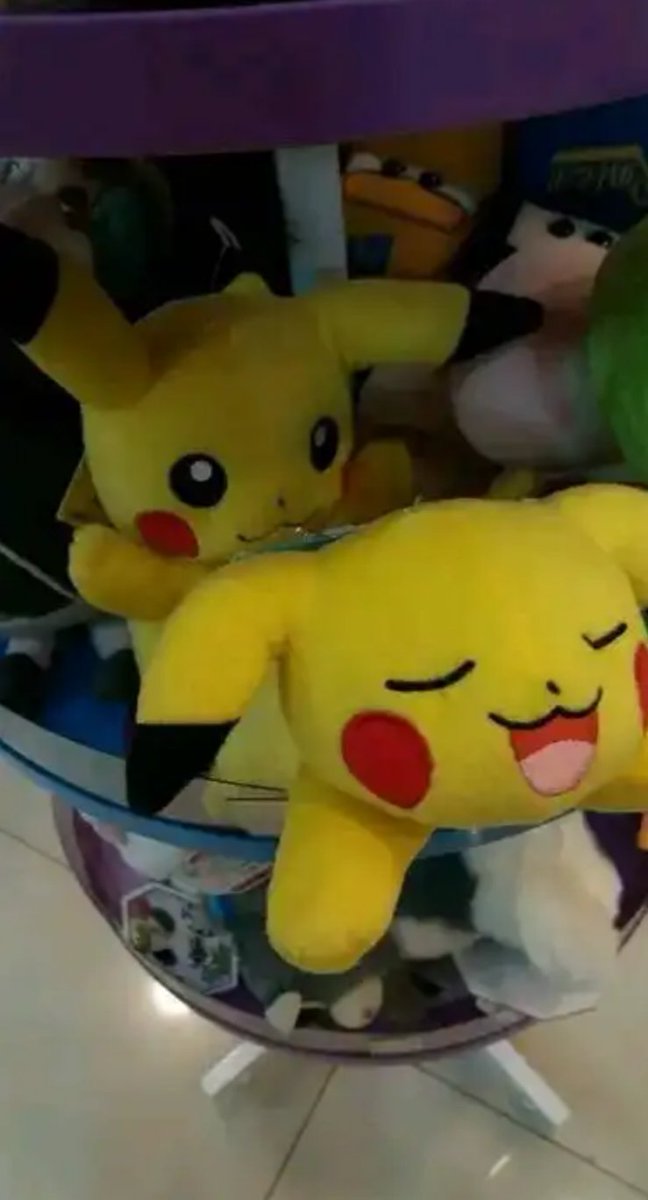 Roko! 🌱 (@rokobell_) on Twitter photo 