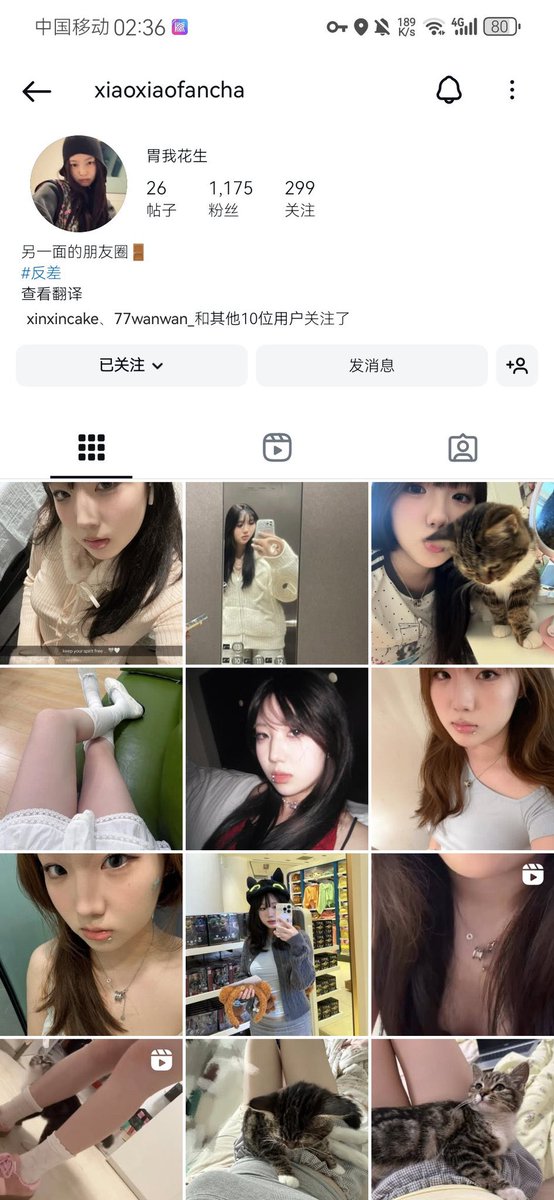 忧郁灵猪 tweet media