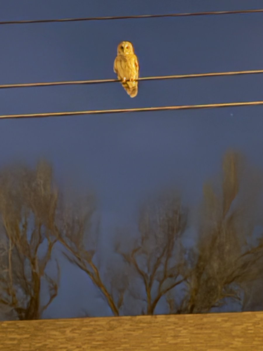 Kevin Bryan tweet media