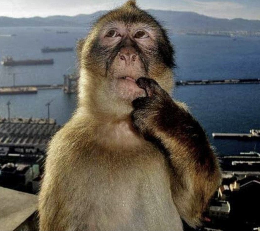 Thinking of more Emre art ideas rn