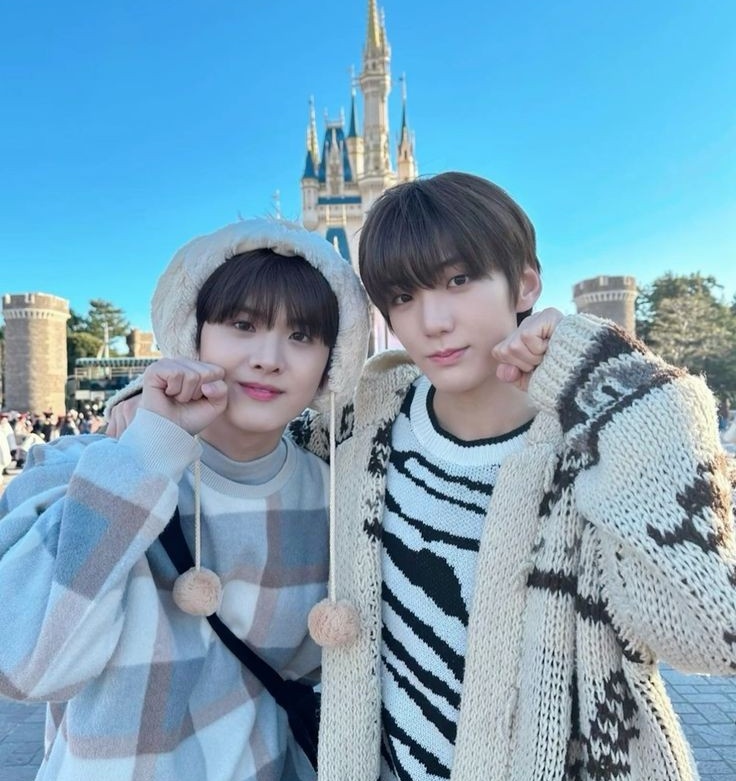 🐰🐺 tweet media