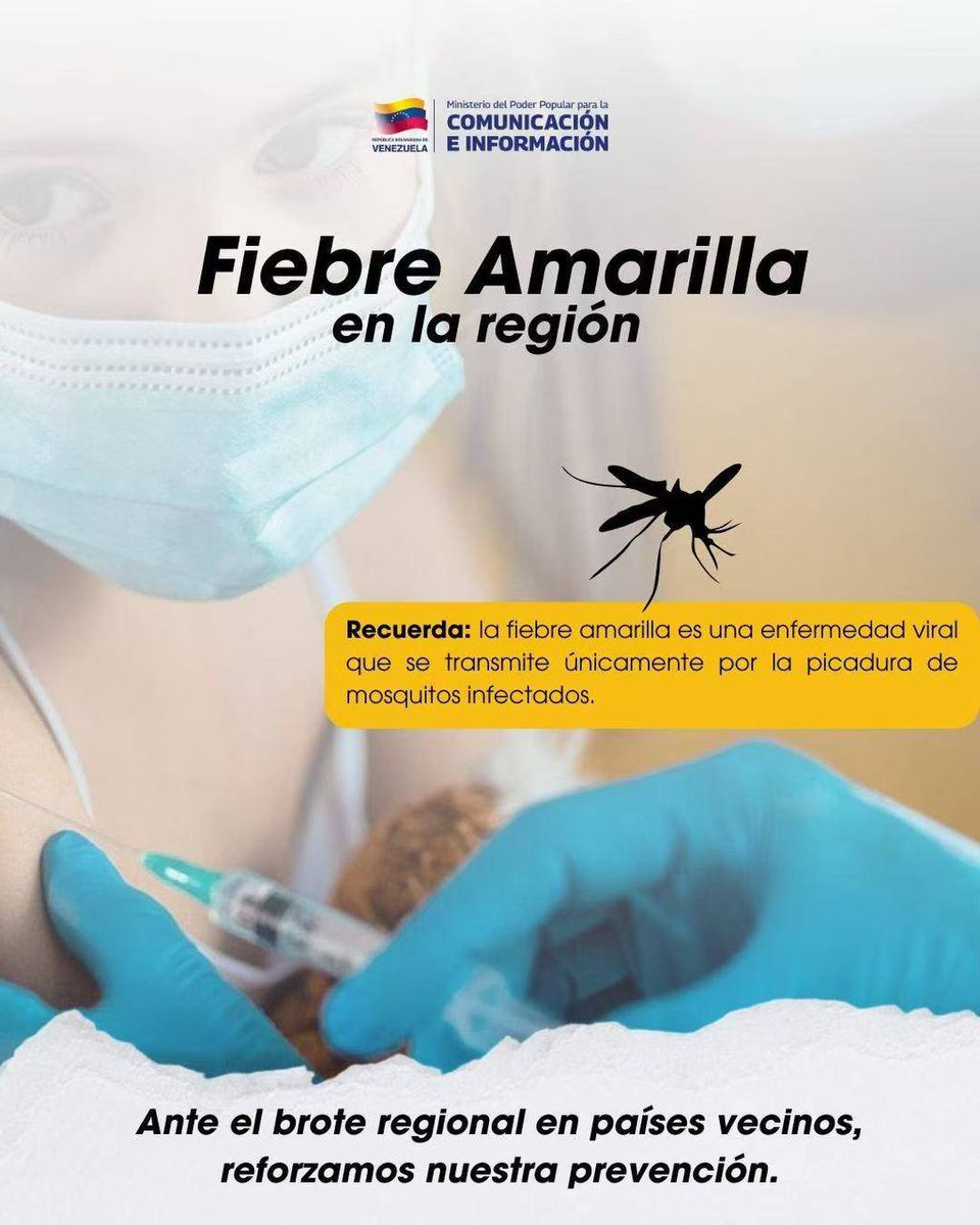 a11andrea's tweet photo. La República Bolivariana de Venezuela 🇻🇪 implementa medidas preventivas para detener y erradicar el brote regional de fiebre amarilla surgido en países vecinos. 🌎

¿Qué es la fiebre amarilla? Es una enfermedad viral aguda y hemorrágica transmitida por la picadura de mosquitos infectados. 🦟
