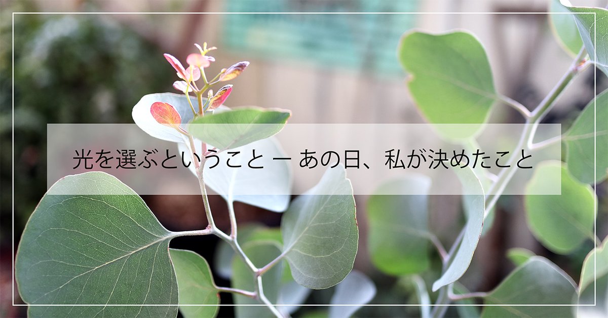 skipkibun's tweet photo. 光を選ぶということ ー あの日、私が決めたこと｜
私はひとつ決めていることがあります。
私の発信は、誰かの心を重くするものでなく、できるなら、少し軽くするものでありたい。
https://t.co/kz0N6GnEc6 https://t.co/DqKdhusw9L