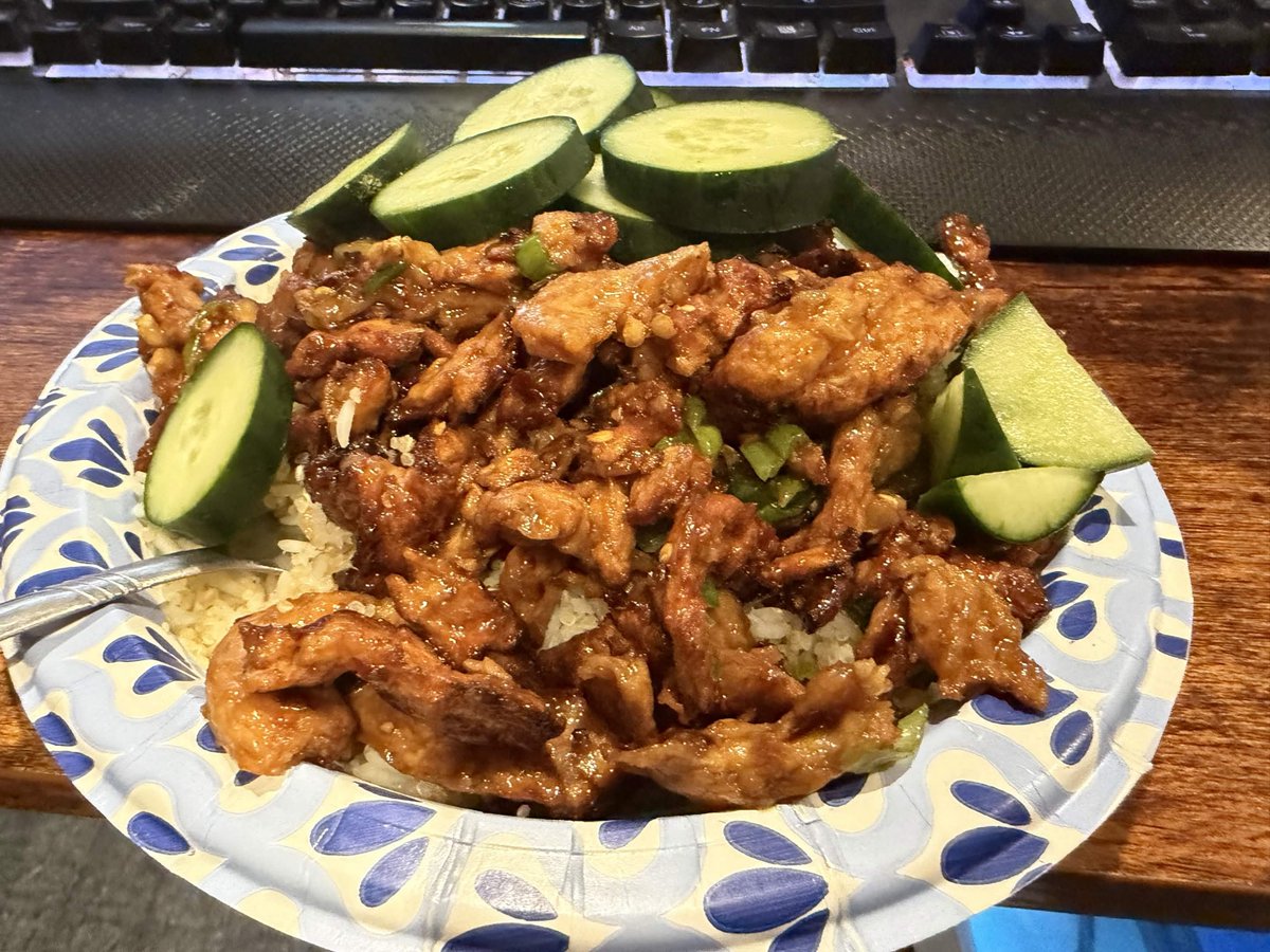 currently having to force feed myself higher calorie meals just to not suffer like, muscle atrophy or something.

soy curl mongolian beef w/ a side of painkillers