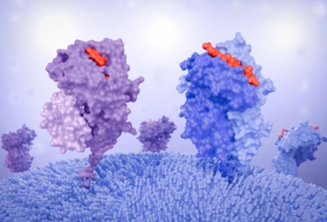 Creativepeptide's tweet photo. Creative Peptides offers high-purity Peptide Inhibitors designed for targeted enzyme and protein interaction studies. Custom sequences. Reliable quality. Scalable synthesis.
🔗Explore more: https://t.co/smNlfHmrhW
#PeptideInhibitors #ProteinResearch #PeptideSynthesis https://t.co/mxpjtGPQPn