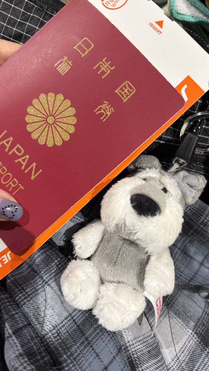 hal_mv_20's tweet image. 一足先に行きます✈️
現地集合でそわそわ☺️
楽しんできます〜！！
 #ワンオク #DETOX #Seoul