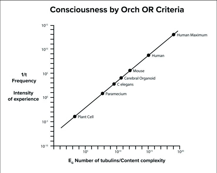 Joseph P Fernandez tweet media