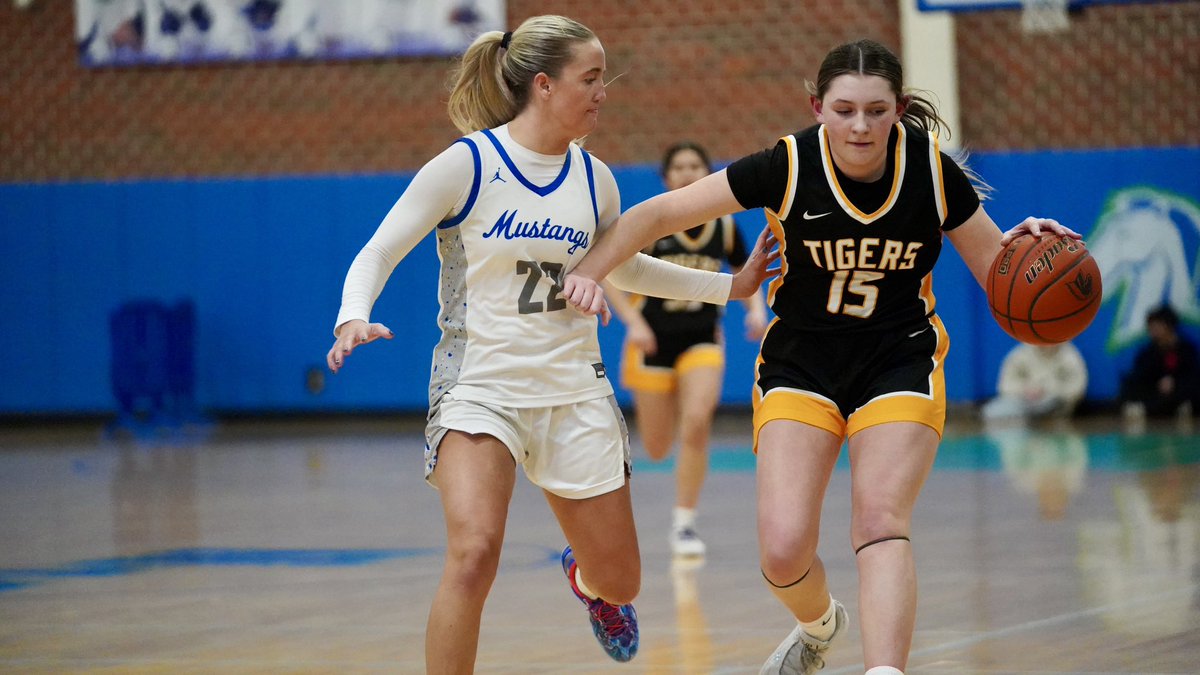 Tyson Chromy tweet media