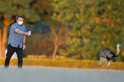 urdeadweight tweet media