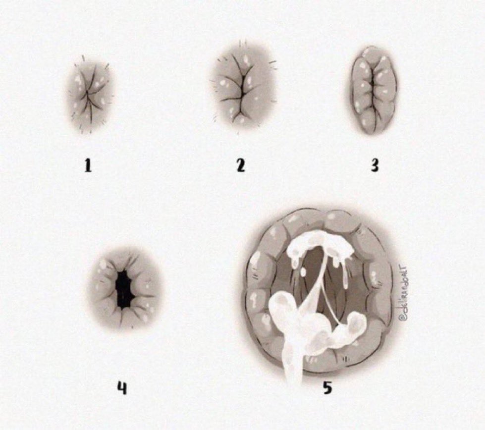 superior king tweet media