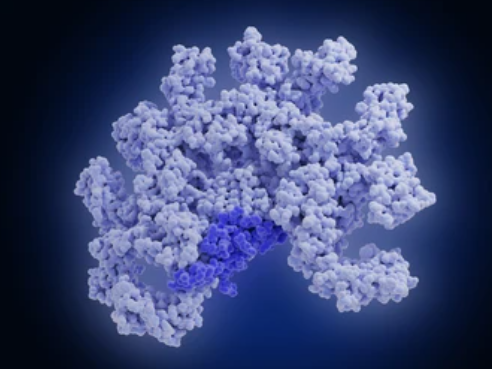 Creativepeptide's tweet photo. Creative Peptides’ Total Peptide Library Construction Technology delivers customizable, high-throughput peptide libraries with rigorous quality validation to support screening and interaction studies.
👉https://t.co/gYrAFMY4DO
#PeptideLibrary #PeptideResearch https://t.co/vwKQBvtoHE