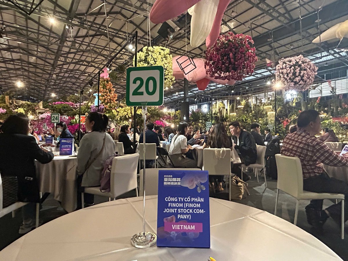 Phi Long | Louis tweet media