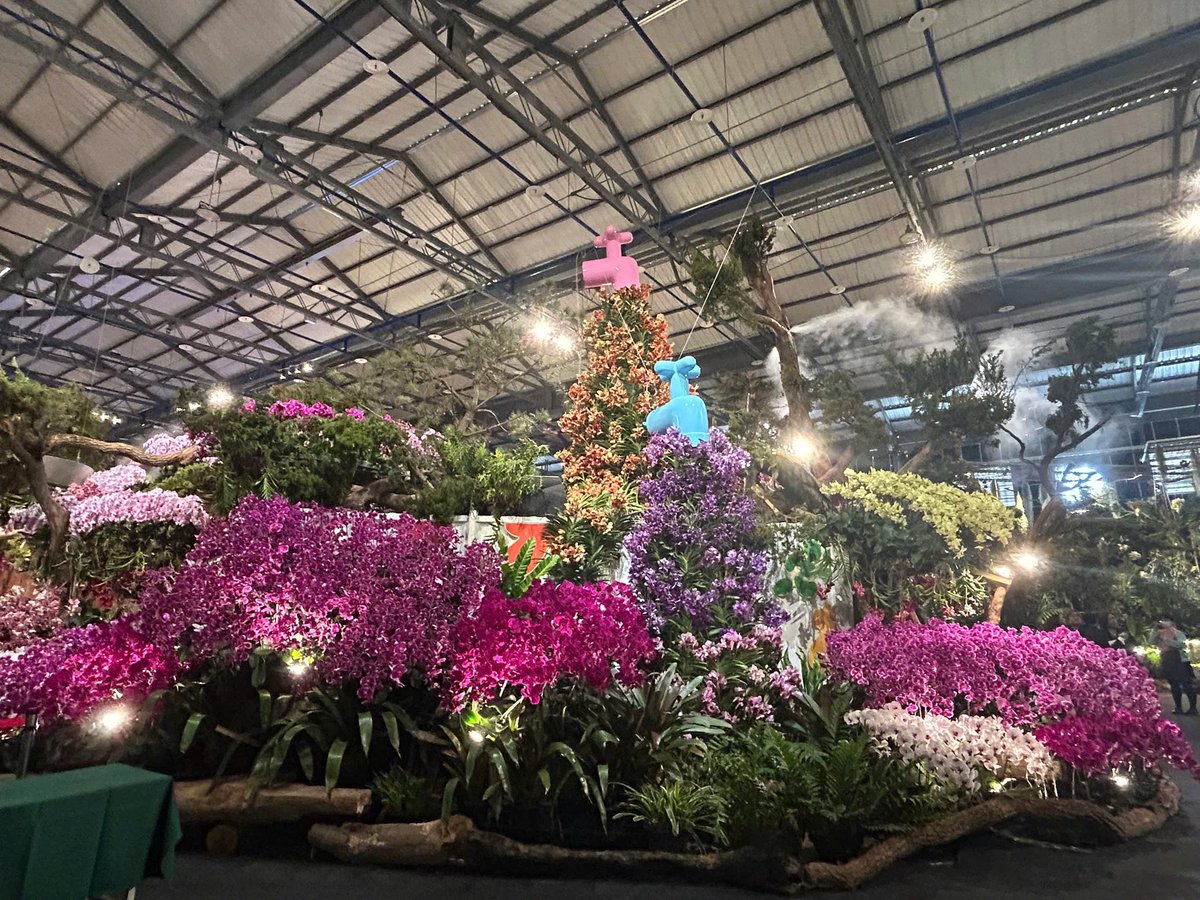 Phi Long | Louis tweet media