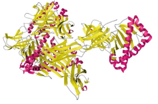 Creativepeptide's tweet photo. High-quality peptides start with precise synthesis.
Creative Peptides offers flexible Custom Peptide Synthesis with high purity, sequence accuracy, and multiple modification options to support advanced research projects.
🔗Learn more:
 https://t.co/lDkVfdKanW
#PeptideSynthesis https://t.co/tNZFY57h5T