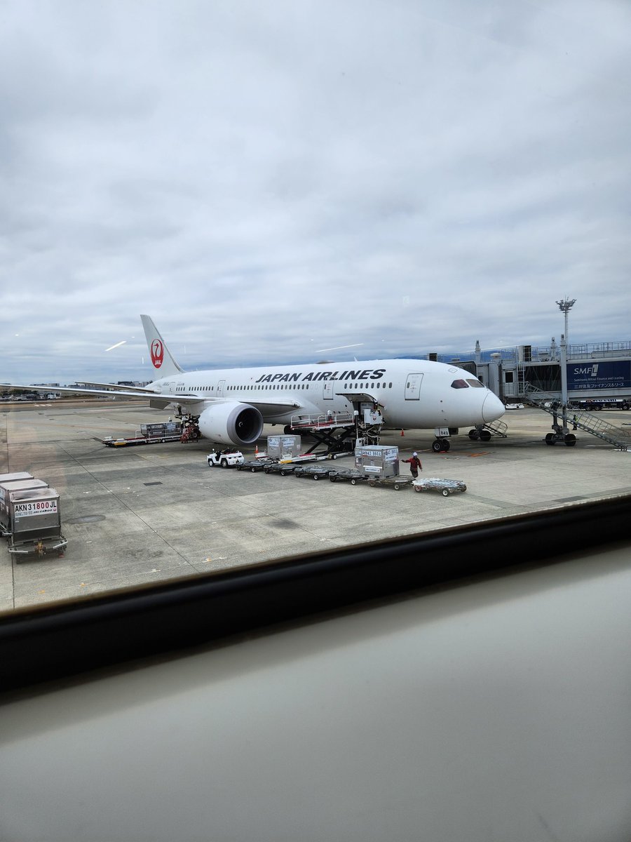 🕊️🎳🐣じゅんど🐓🎳🐬🇯🇵🇺🇦 tweet media