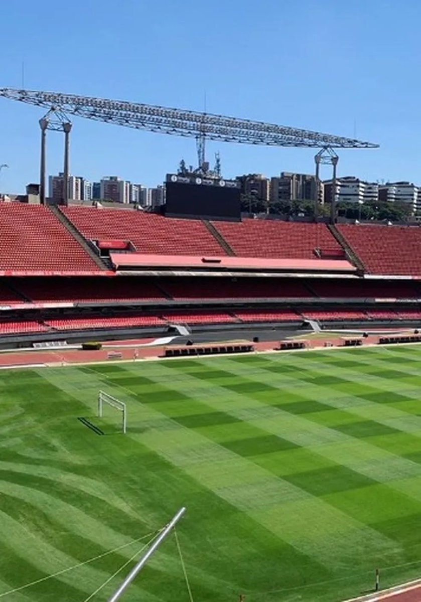 gui_baeza's tweet photo. @PalmeirenseNews gramado é isso, o que tem aí é plástico. https://t.co/wxo7VKuZ5l