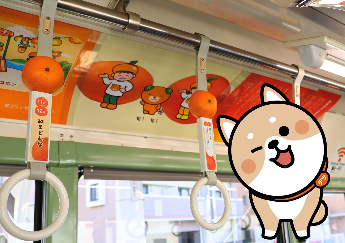 テツです。 おはようございます✨ みかんがいっぱいの市内を走るみかん