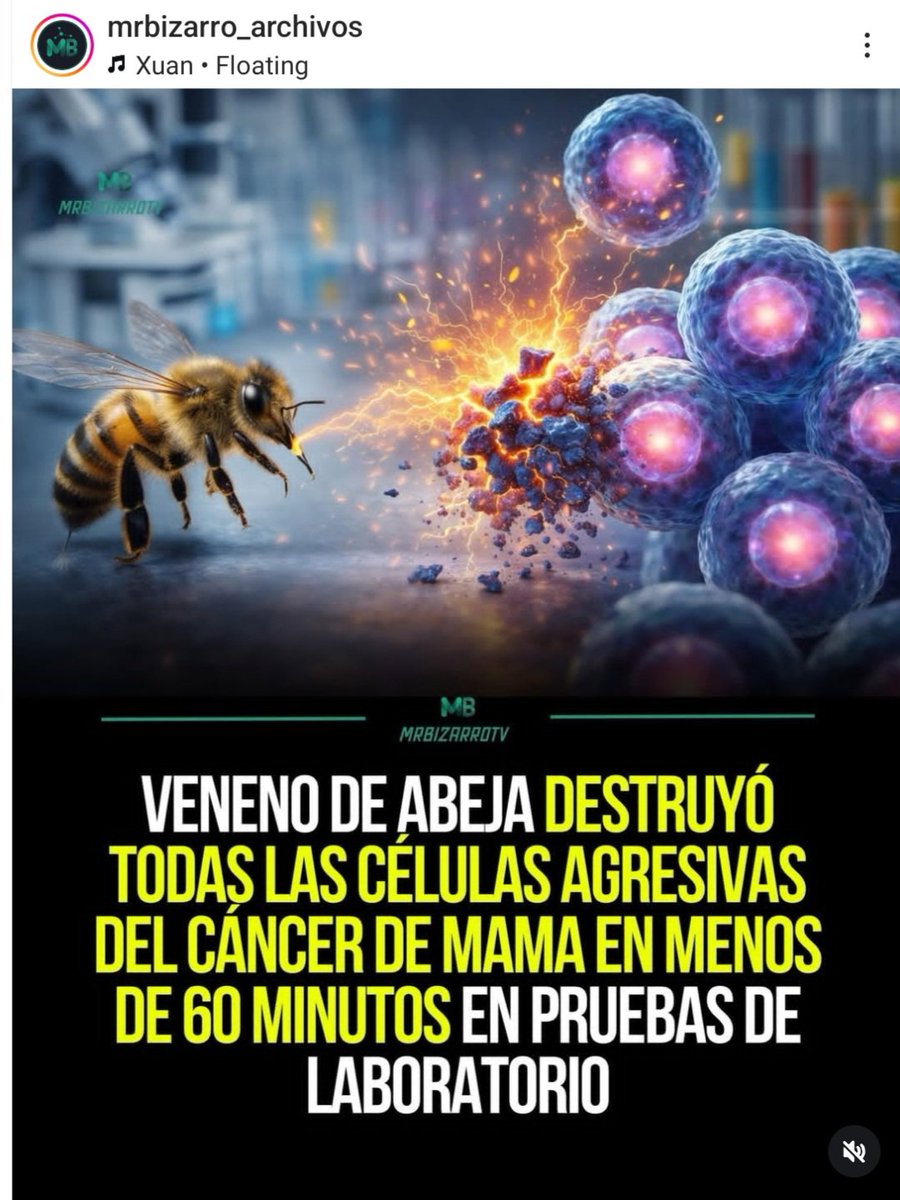 DCorresponsal's tweet photo. Son LO MÁS en el Universo. Nada más noble que una Abeja. Y siguen trayéndonos bendiciones. Enloquezcan con esto... Lo digo desde mi primer día en Twitter: ¡CUIDEN LAS ABEJAS! https://t.co/ArI4pADdX2