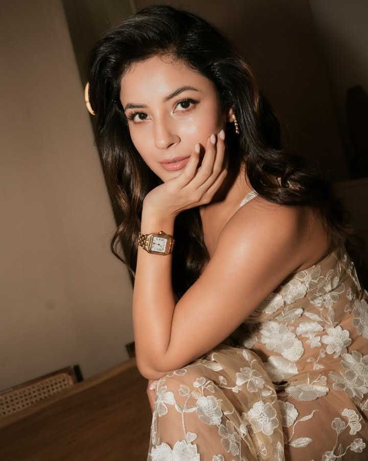 Actress_Club's tweet photo. π― #ShehnaazGillThread
#Actress #ShehnaazGill New Look https://t.co/lf40zCcvql
