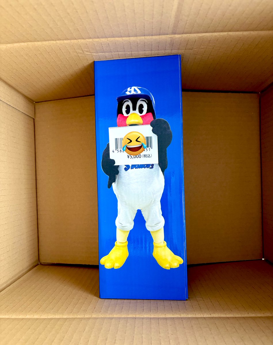 ダンシングつば九郎、ご到着〜🐧⛱️ ダンボール開けたら、緩衝材も何