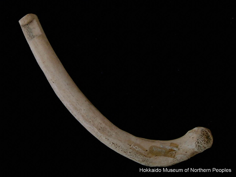 YoshiHR (@YoshiHR2) / Posts / X