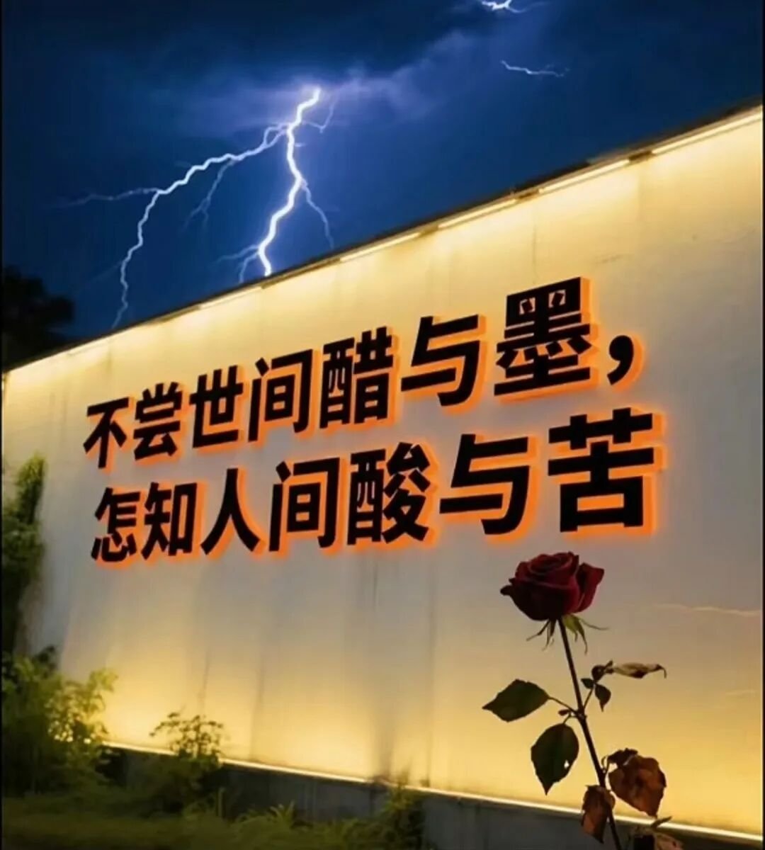 web3.0践行者 tweet media