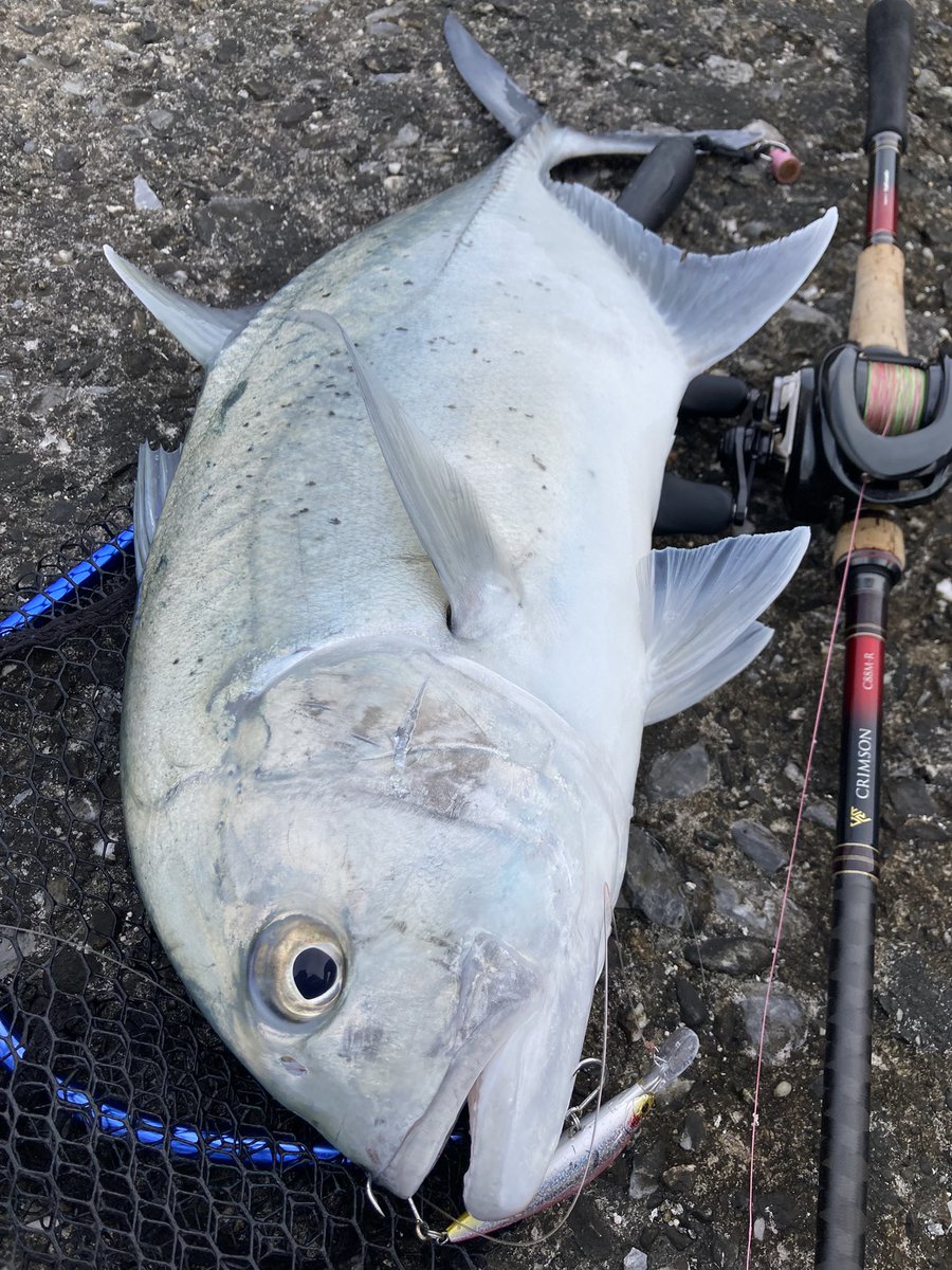 公式】tailwalk (テイルウォーク)｜世界中の釣り好き応援中