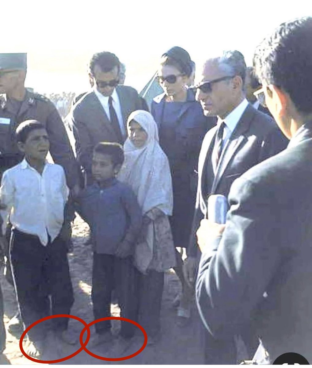 هادی دادگر tweet media