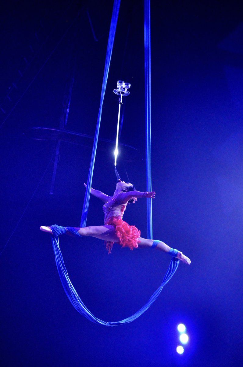 ポップサーカス/POPCIRCUS🎩 tweet media