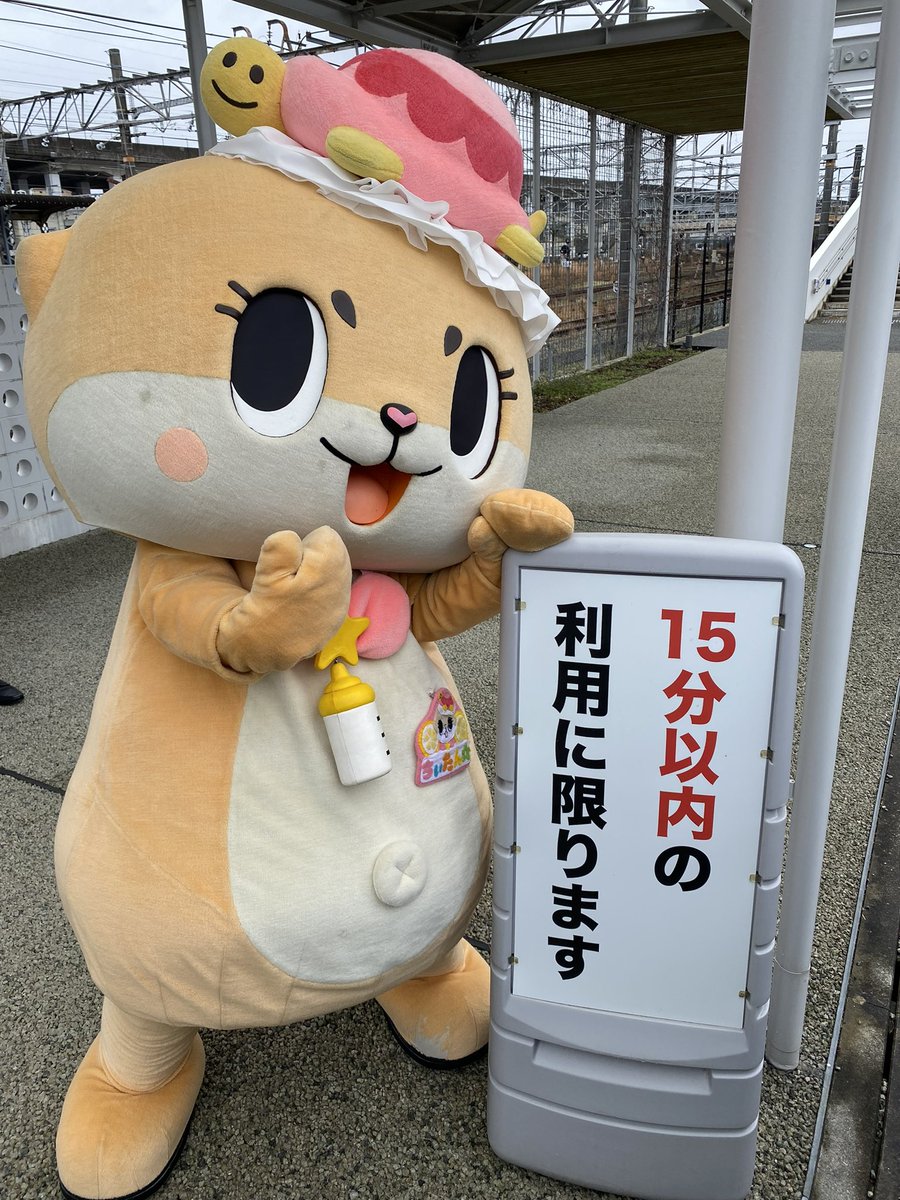 公式：ちぃたん☆広島 (@chiitanmomiji) / Posts / X