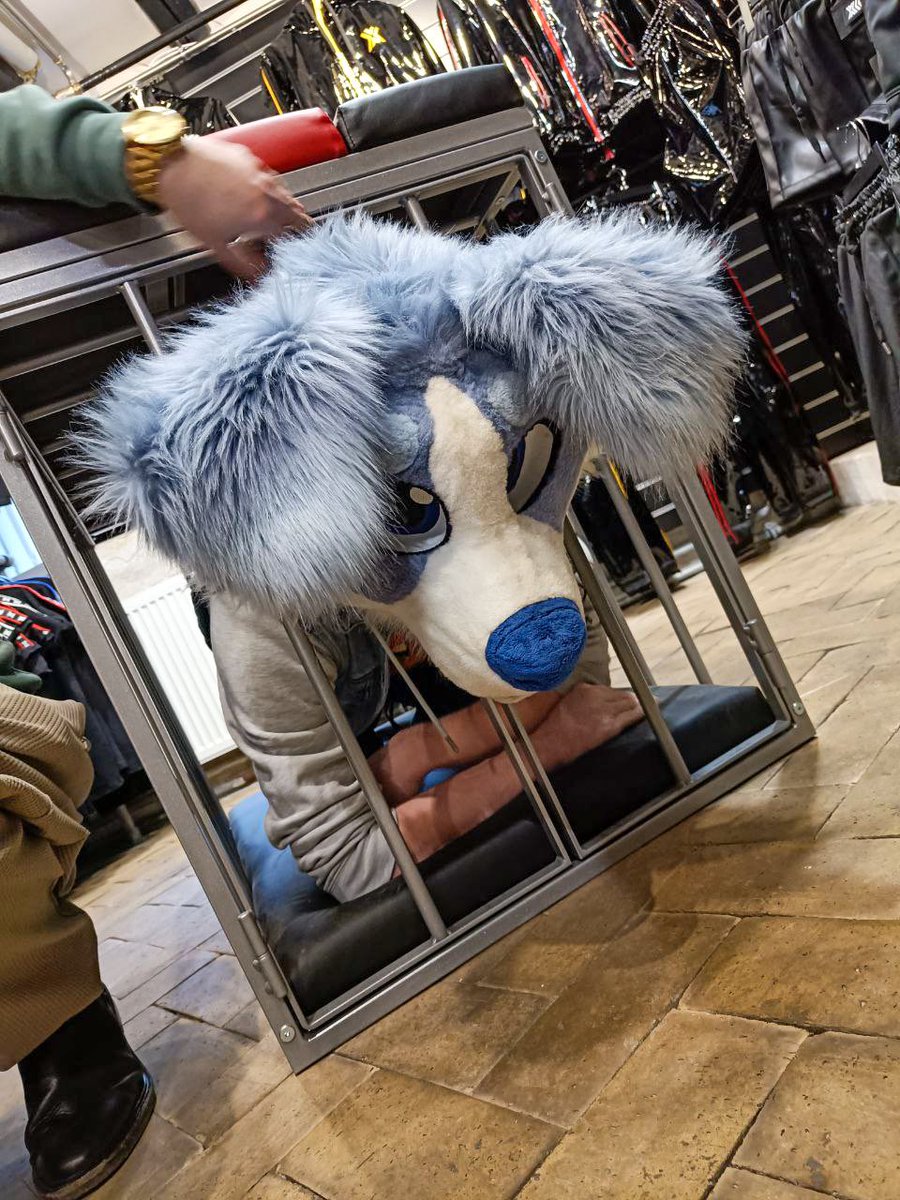 Finches_Inches's tweet photo. I was just looking at the cage, then @ShakkiFoxAD and @Dio_Furry bullied me into it 😣😣

Shoutout @HomowareDK for being awesome and letting us play around with it 🥰

And giving them the lock and key.. https://t.co/YdAg9F1Pty