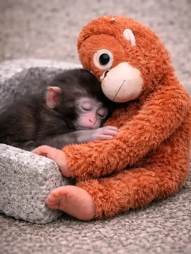 Peace is not found everywhere.