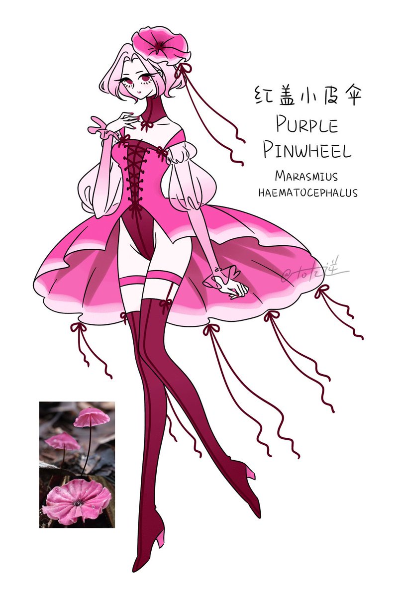 右左逆 tweet media