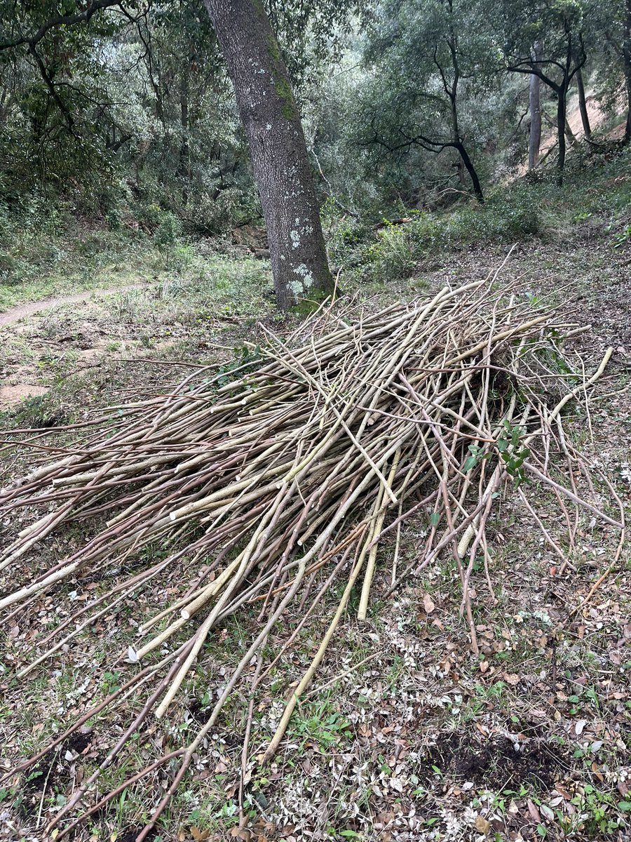 BIOSFERA tweet media