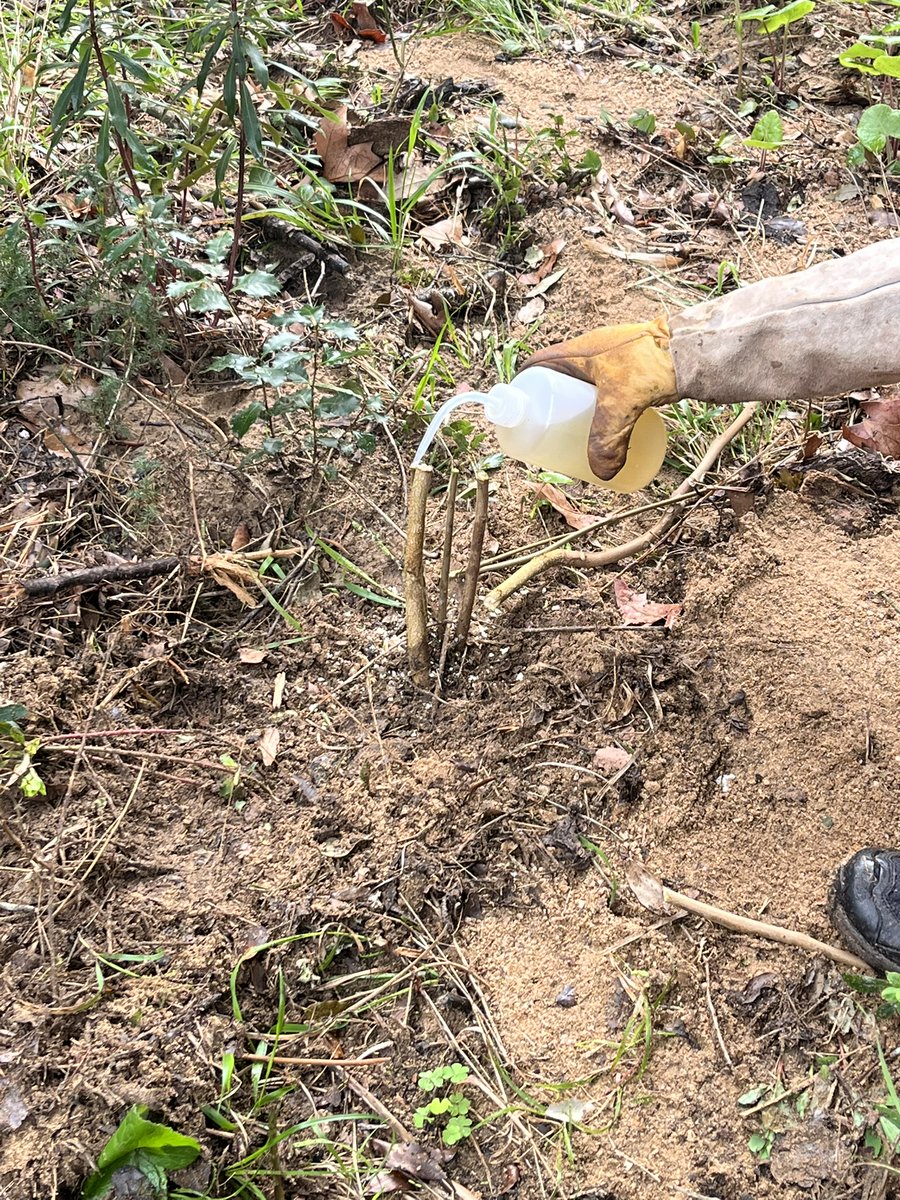 BIOSFERA tweet media