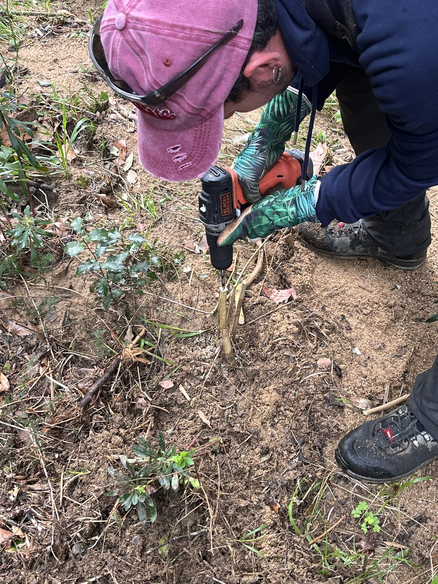 BIOSFERA tweet media