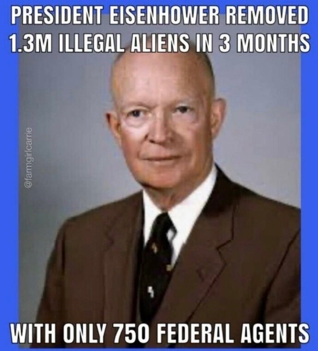 <a href="/ViralVideos/">Liberacrat™️</a> Eisenhower didn’t have the problems with democrats then

They helped