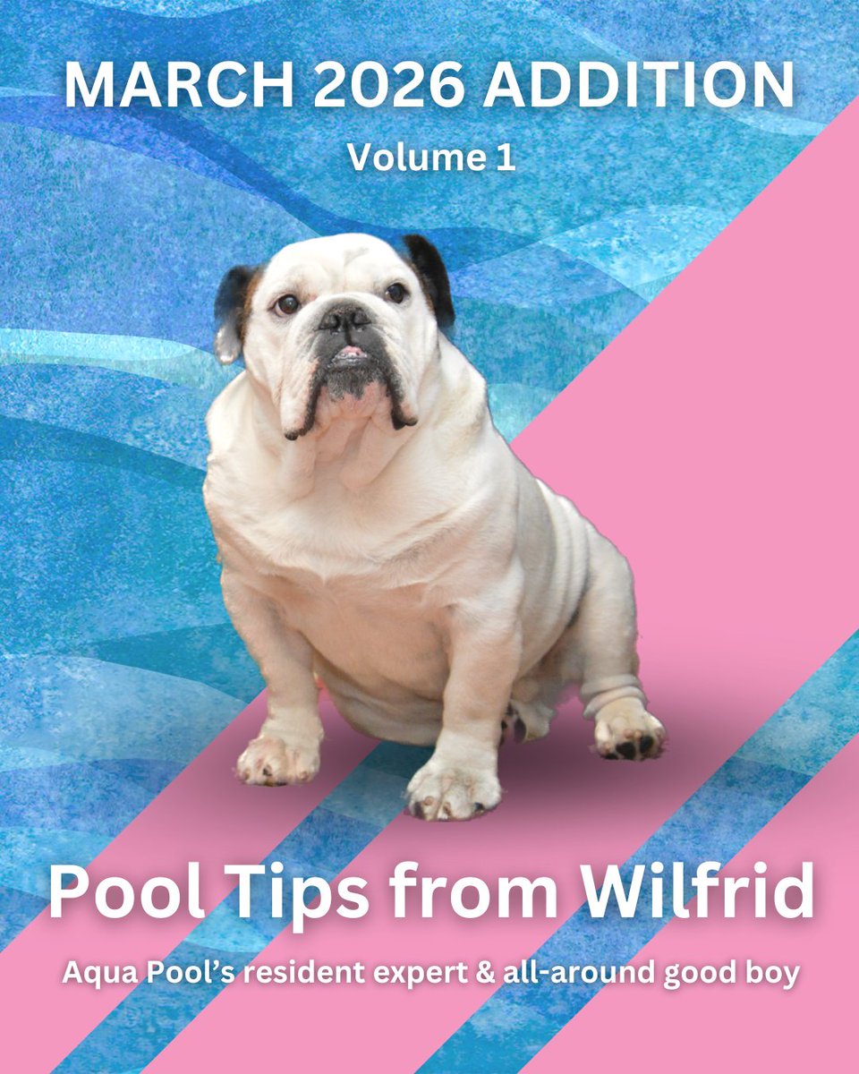 Don't waste money on "weak" chemicals! 🧪 Pro tip: Avoid discount liquid chlorine with short shelf lives. Stick to 1lb shock bags and smaller puck containers to keep your chemicals potent and effective.

Stock up on pro-grade supplies: aquapool.com/wp-content/upl… #PoolTips