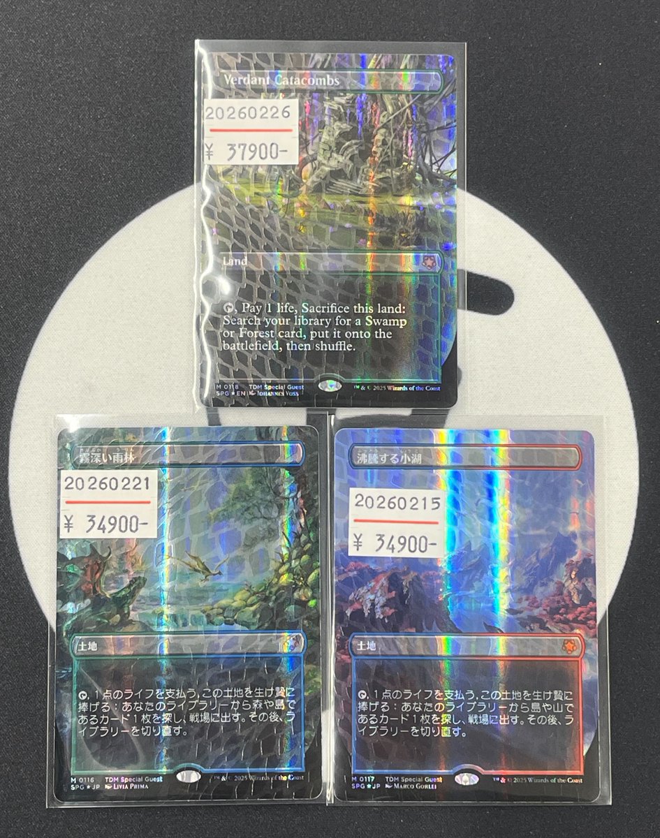 🧐東京MTG Pick Up🧐 『ドラゴンスケイルFoil』 まるで竜の鱗が
